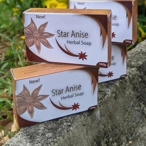 STAR ANISE HERBAL SOAP 1PIC